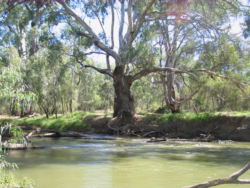 103 Pearce Street, Howlong NSW 2643