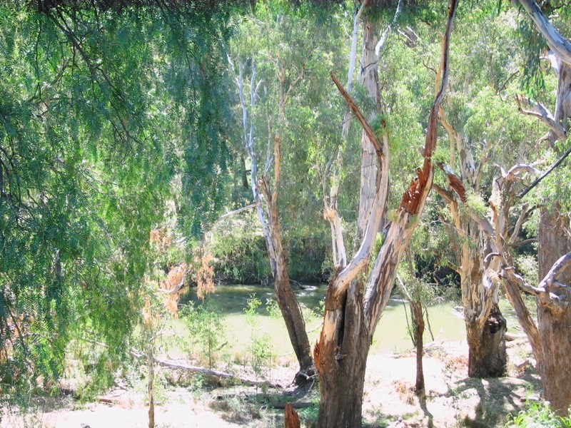 103 Pearce Street, Howlong NSW 2643