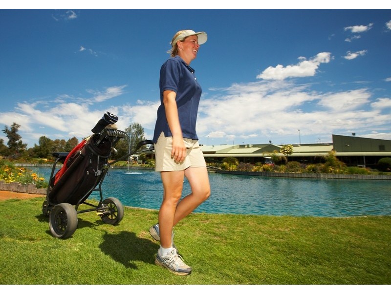 103 Pearce Street, Howlong NSW 2643