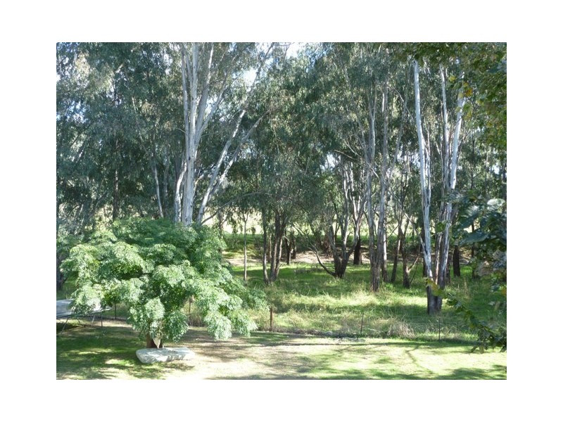 83 Bank Street, Howlong NSW 2643