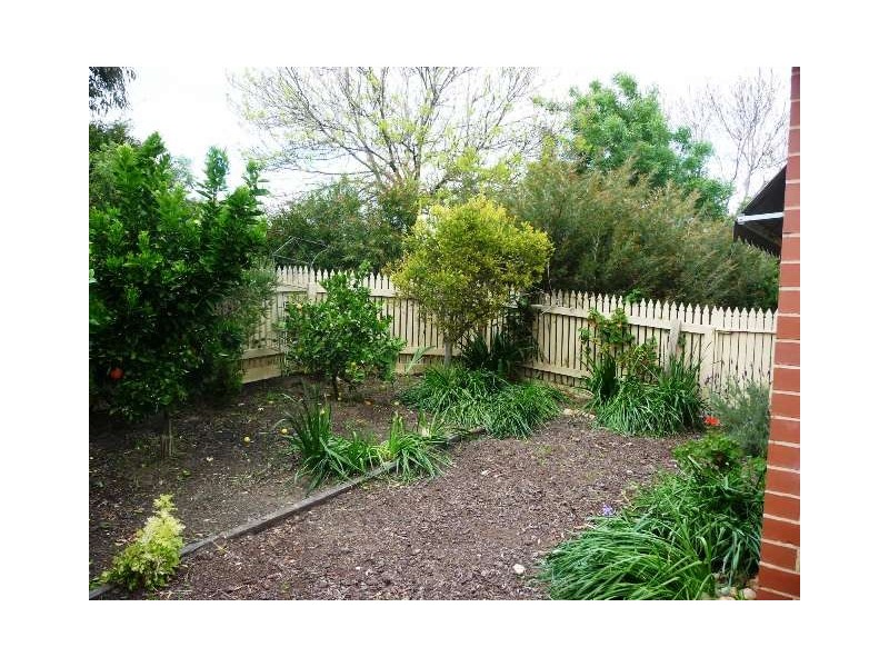 35 Campaspe Street, Wodonga VIC 3690