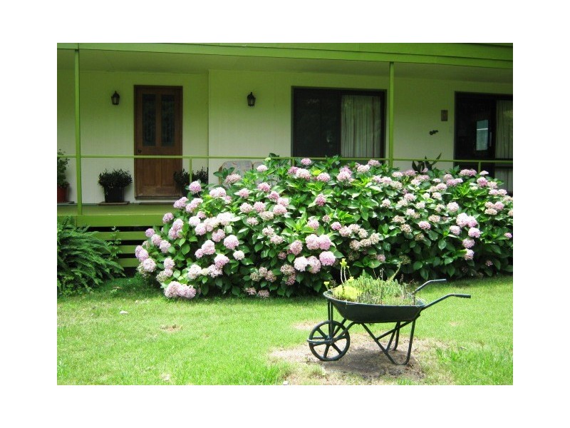 102 Martins Road, Bethanga VIC 3691