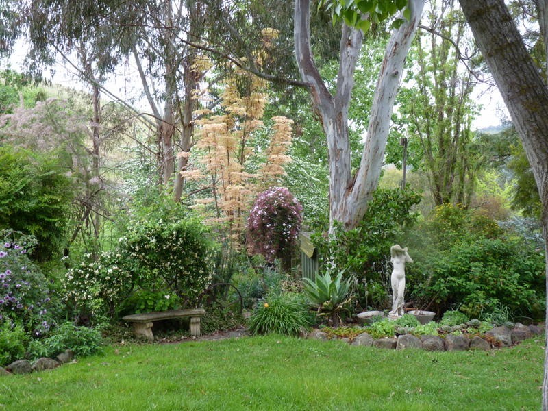 102 Martins Road, Bethanga VIC 3691