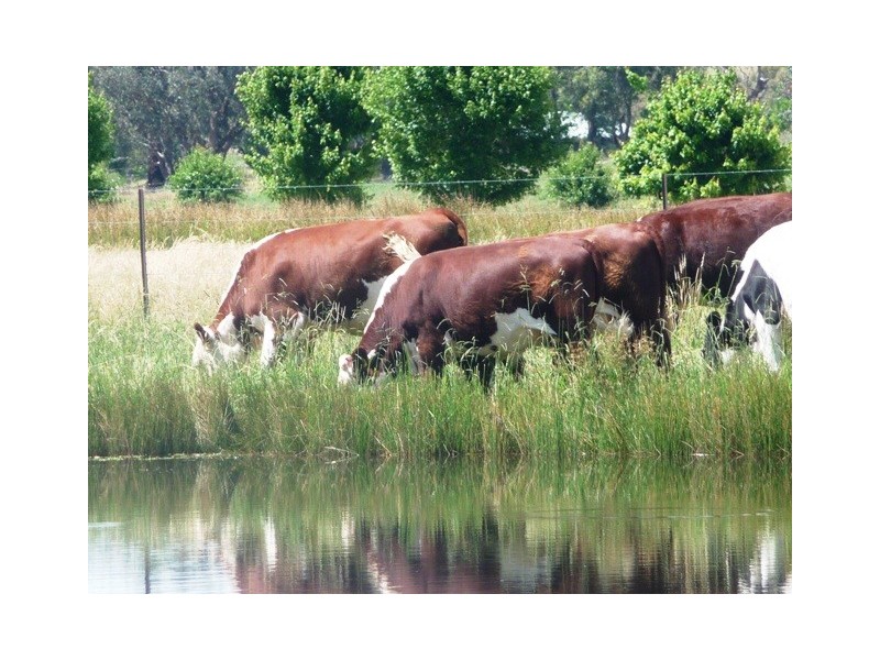 311 Whytes Road, Baranduda VIC 3691