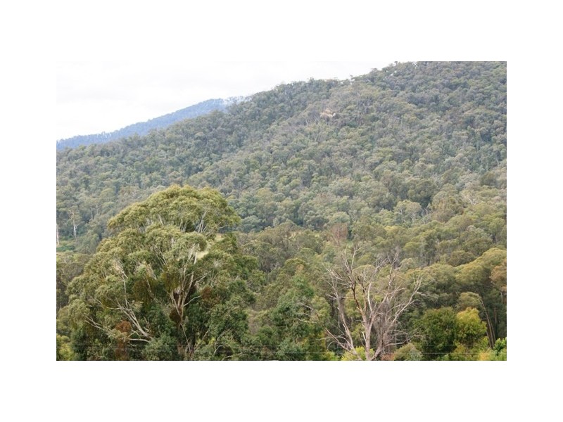 Lot 4 Simmonds Creek Road, Tawonga South VIC 3698