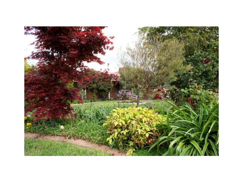 37 Roadshow Drive, Wodonga VIC 3690