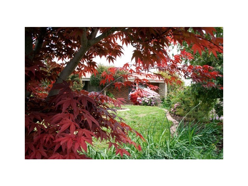 37 Roadshow Drive, Wodonga VIC 3690