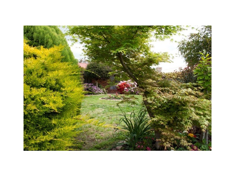 37 Roadshow Drive, Wodonga VIC 3690