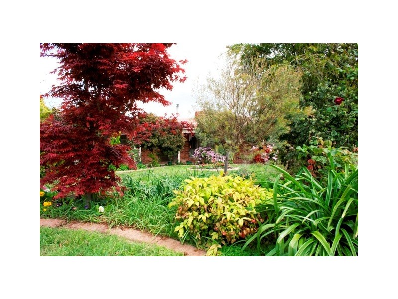 37 Roadshow Drive, Wodonga VIC 3690