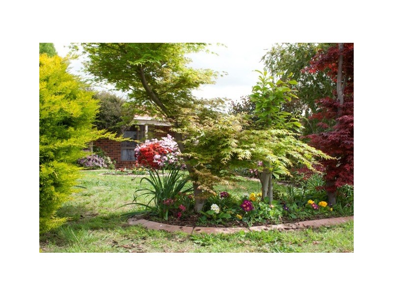 37 Roadshow Drive, Wodonga VIC 3690