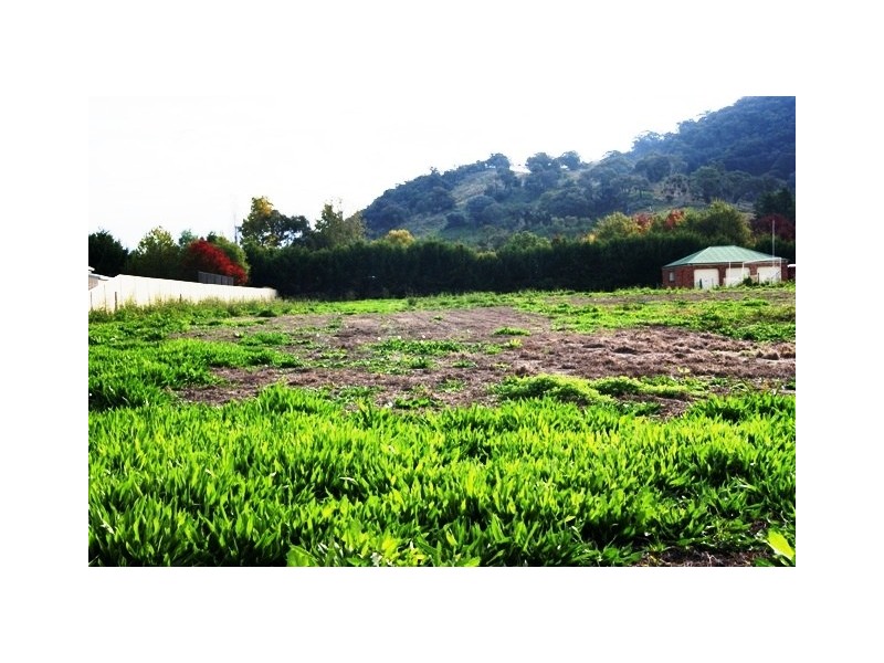 5 Brewer Drive, Wodonga VIC 3690