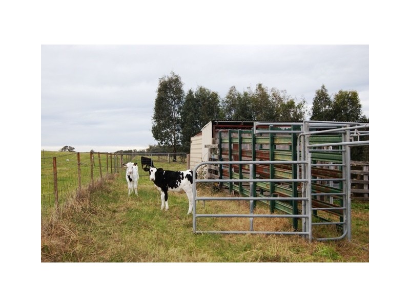 331 Soldiers Road, Barnawartha VIC 3688