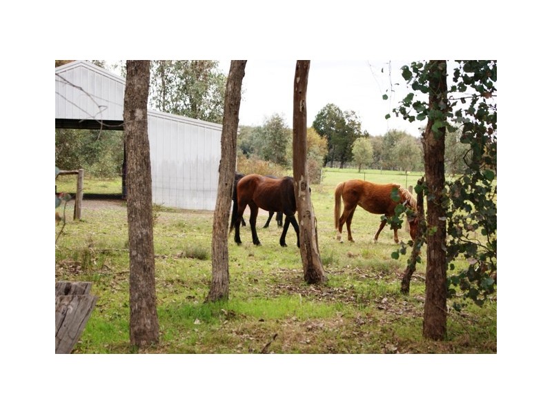 454 Settlers Road, Chiltern VIC 3683