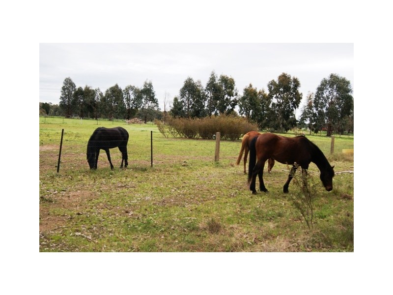 454 Settlers Road, Chiltern VIC 3683