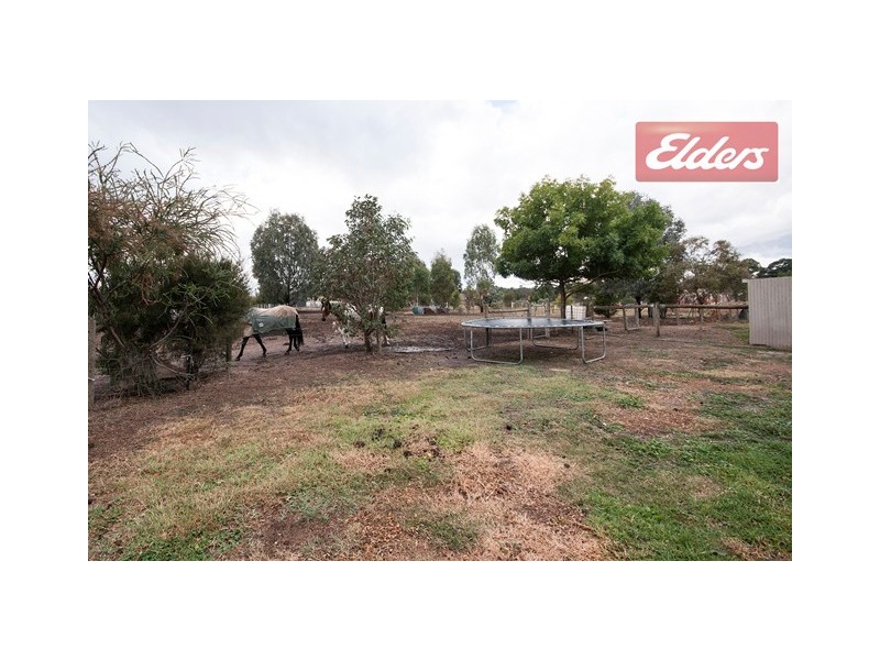 53 Albert Road, Chiltern VIC 3683