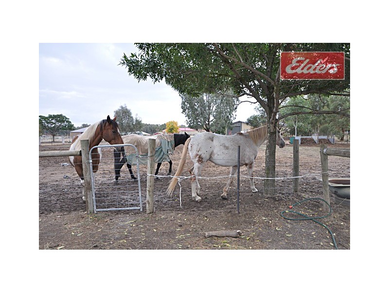 53 Albert Road, Chiltern VIC 3683