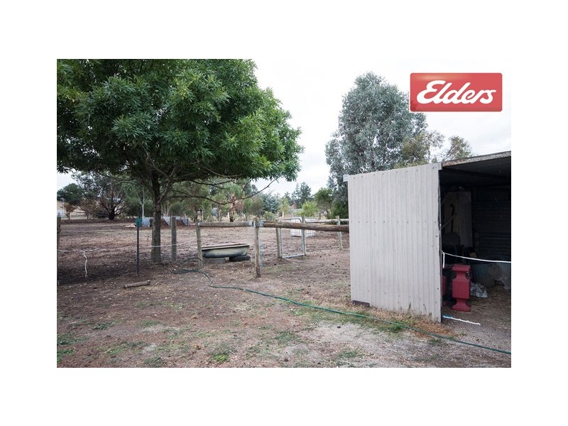 53 Albert Road, Chiltern VIC 3683