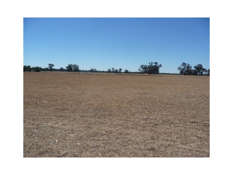 617 Police Paddocks Road, Rutherglen VIC 3685