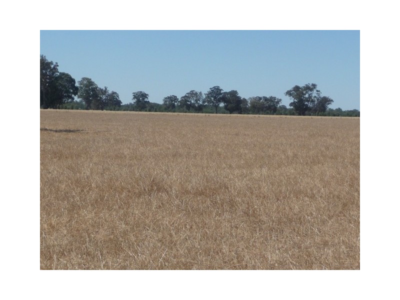 617 Police Paddocks Road, Rutherglen VIC 3685