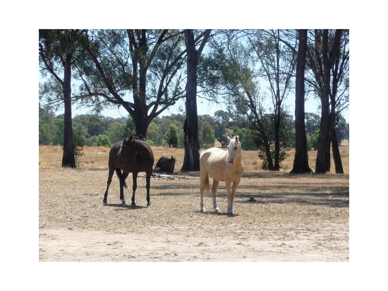 CA13 Williams Road, Barnawartha VIC 3688