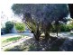 20 Wall Street, Chiltern VIC 3683