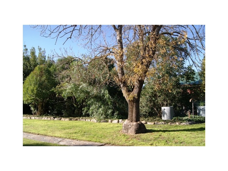 20 Wall Street, Chiltern VIC 3683