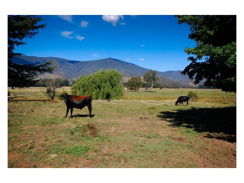 14 Running Creek Road, Running Creek VIC 3691