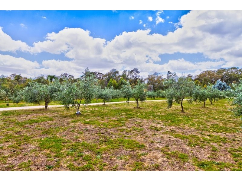 59 Franks Road, Chiltern Valley VIC 3683