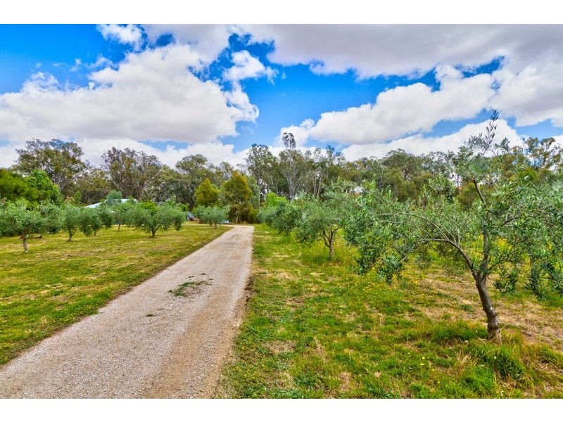59 Franks Road, Chiltern Valley VIC 3683