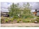 3 McCrohan Court, Wodonga VIC 3690