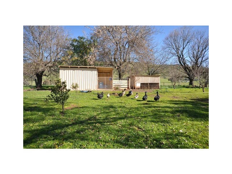 2935 Murray Valley Highway, Ebden VIC 3691