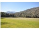 217 Simmonds Creek Road, Mount Beauty VIC 3699