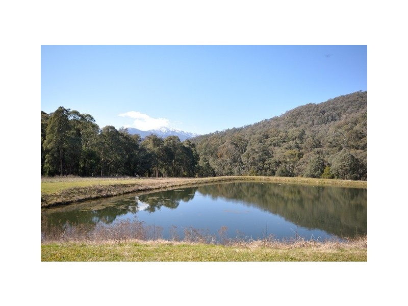 217 Simmonds Creek Road, Mount Beauty VIC 3699