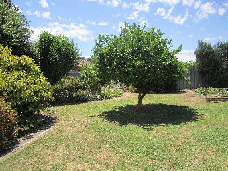 76 William Street, Wodonga VIC 3690