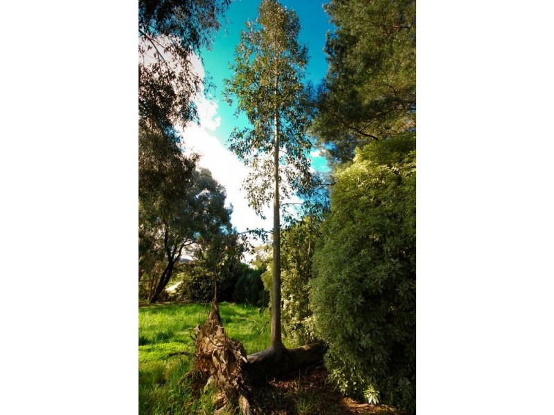 75 Racecourse Road, Yackandandah VIC 3749