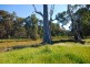 1134 Barnawartha-Howlong Road, Barnawartha VIC 3688