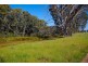 1134 Barnawartha-Howlong Road, Barnawartha VIC 3688
