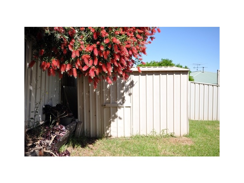 8 Newman Crescent, Wodonga VIC 3690