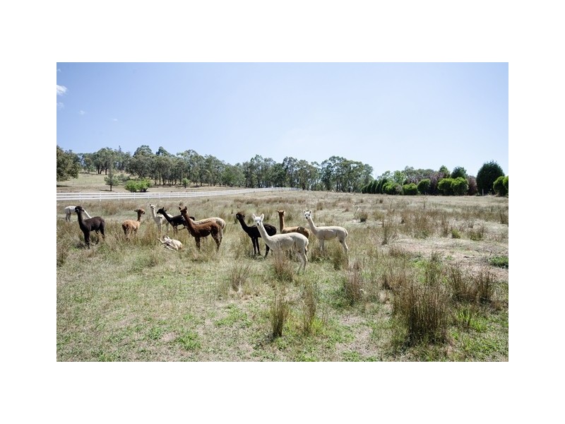 882 Centaur Road, Lavington NSW 2641