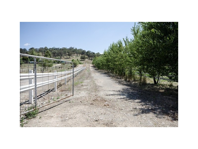 882 Centaur Road, Lavington NSW 2641