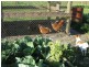 609 Petticoat Lane, Londrigan VIC 3678
