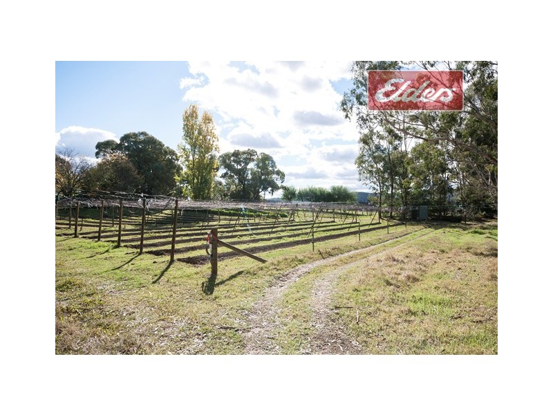 98 Star Lane, Wooragee VIC 3747