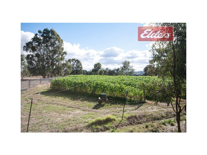 98 Star Lane, Wooragee VIC 3747