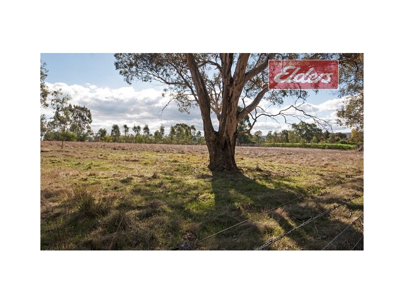 98 Star Lane, Wooragee VIC 3747