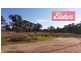 495 Dallinger Road, Lavington NSW 2641