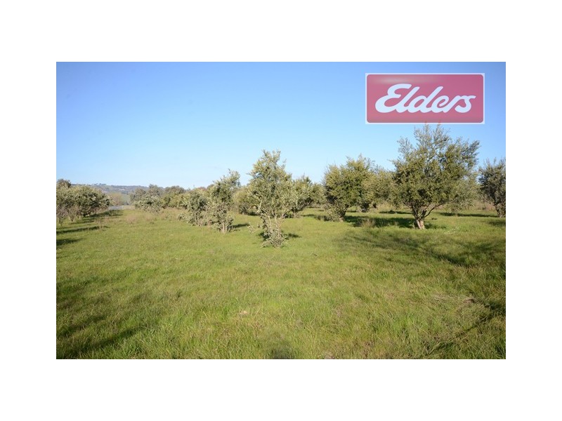 398 Masons Gap Road, Indigo Valley VIC 3688