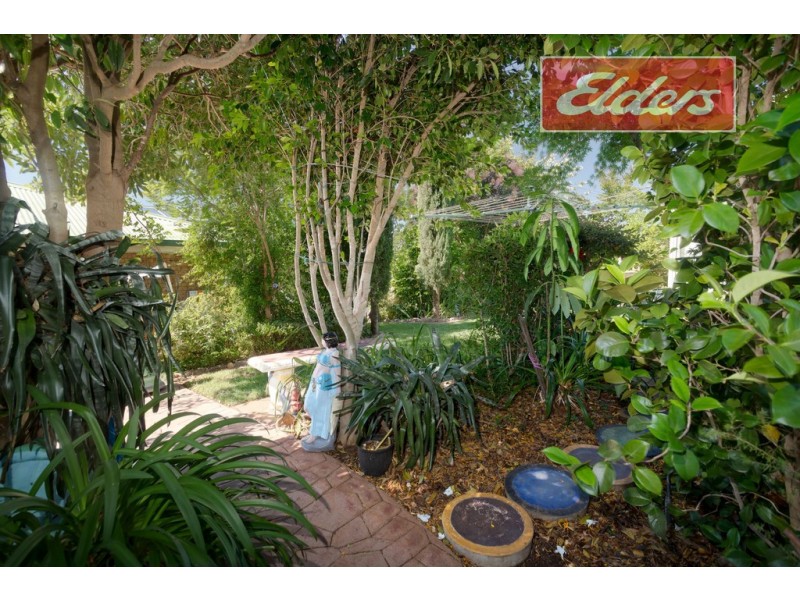 85 Michelle Avenue, Lavington NSW 2641