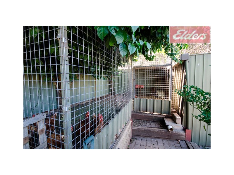 13 Page Court, Wodonga VIC 3690