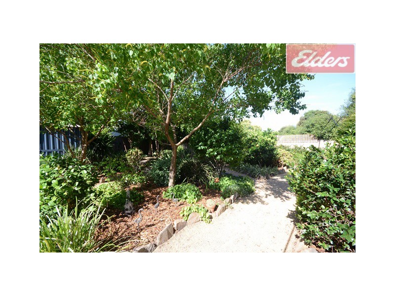 346 Cheyenne Drive, Lavington NSW 2641