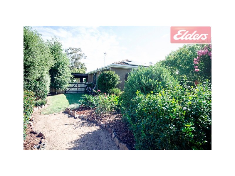 346 Cheyenne Drive, Lavington NSW 2641